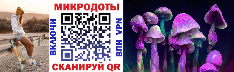 наркота  Мценск  Псилоцибиновые грибы ЛСД 